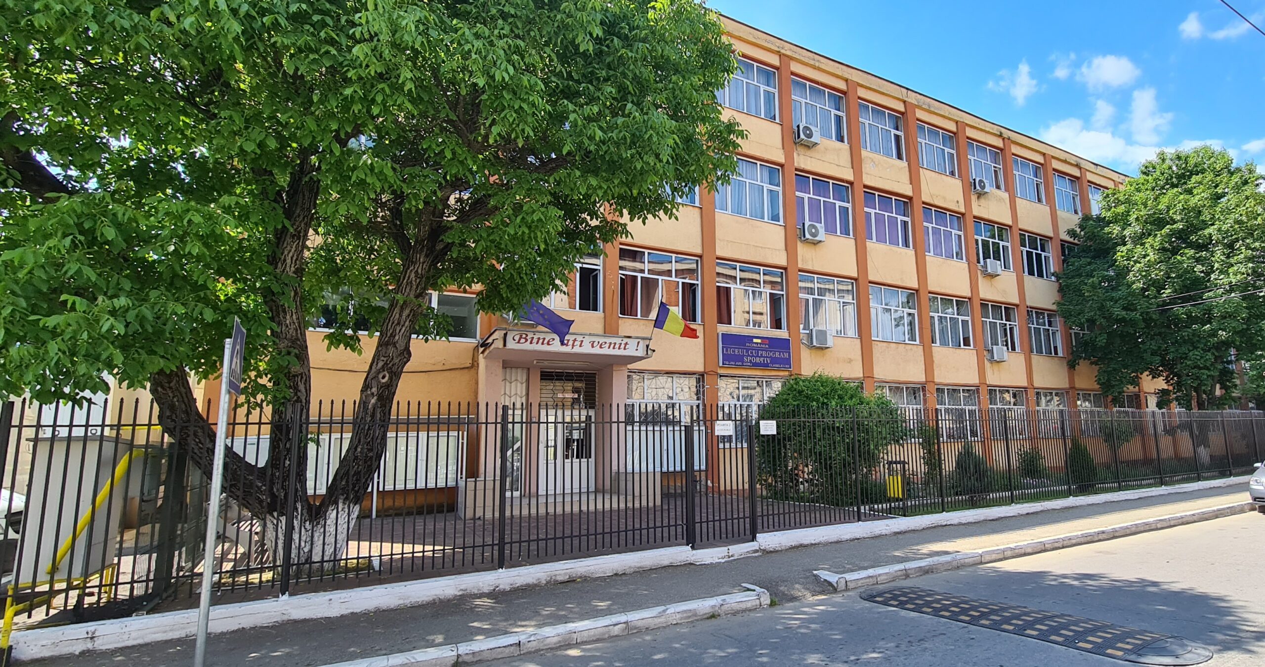 Liceul cu Program Sportiv Târgu Jiu